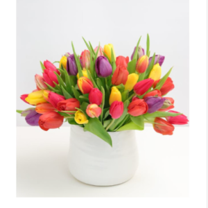 Amazing tulips
