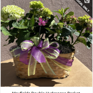 Double Hydrangea Basket