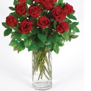 Classic long Stem Roses