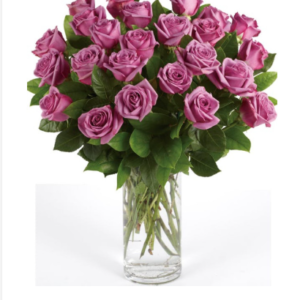 Lavender Roses