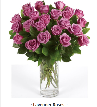Lavender Roses